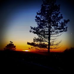 Silhouette trees on landscape against sky during sunset