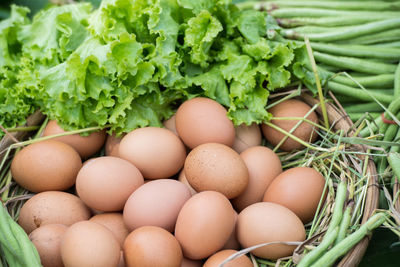 Close-up of eggs and green vegetables