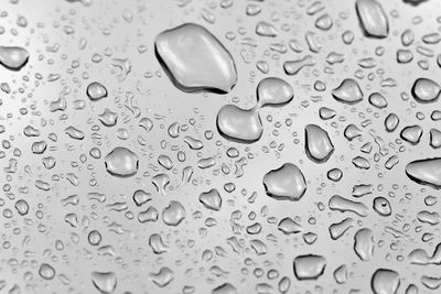 Close-up of water drops on raindrops