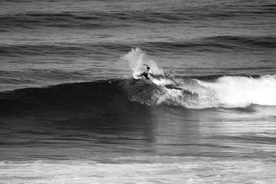 High angle view of surfing in sea
