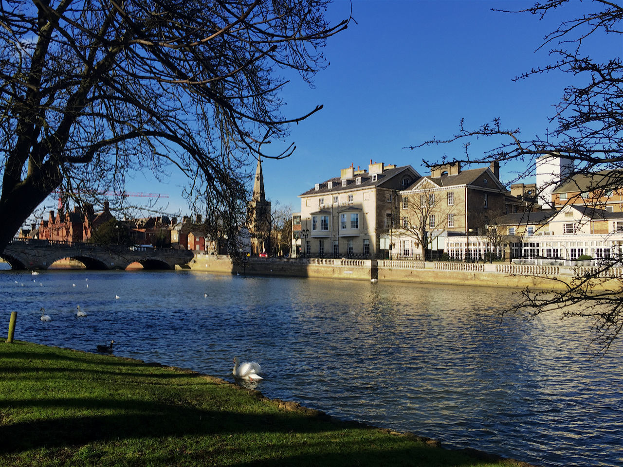 building exterior, architecture, built structure, water, tree, clear sky, river, blue, house, city, residential building, bare tree, sunlight, residential structure, sky, canal, waterfront, day, rippled, branch