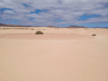 Sand dunes in desert against sky