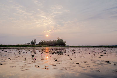 Scenic view of lake against sky during sunset