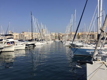 Sailboats moored in harbor