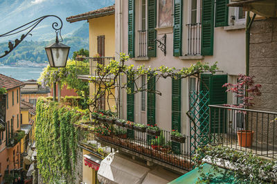 View of como lake, balconies with open blinds and bindweed in bellagio. italy.