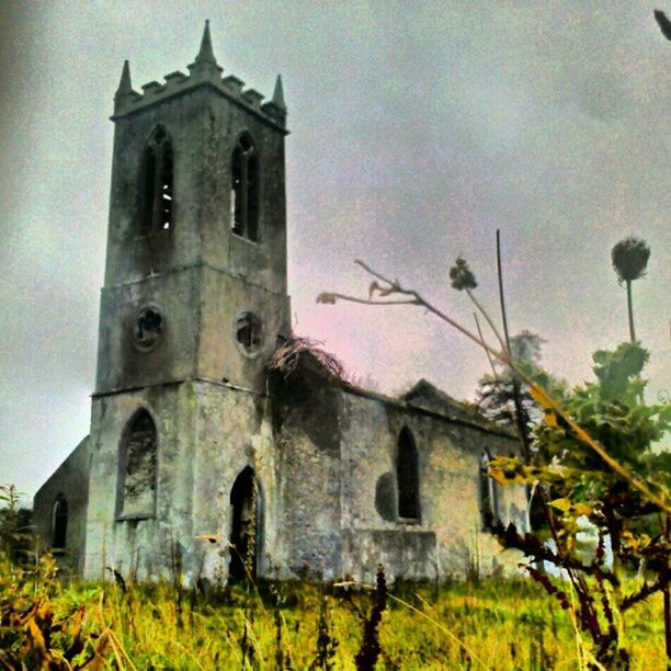 building exterior, architecture, built structure, low angle view, sky, religion, church, growth, plant, place of worship, spirituality, tree, outdoors, day, old, no people, nature, tower