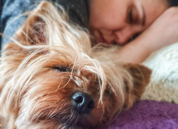 Close-up of dog with woman sleeping on bed at home