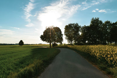 Road amidst field against sky