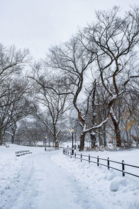 Bare trees on snow covered land against sky