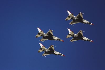 Low angle view of bird flying in blue sky