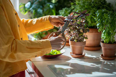 Midsection of man preparing food on table