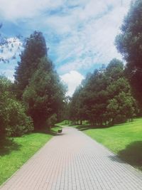 Footpath amidst trees against sky