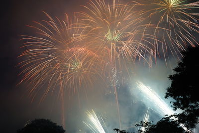 Low angle view of firework display against sky at night