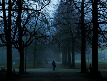 Silhouette man walking on bare trees at night
