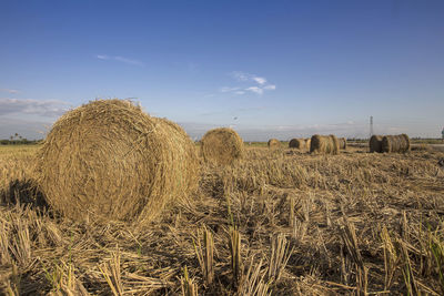 Hay bales on field against sky