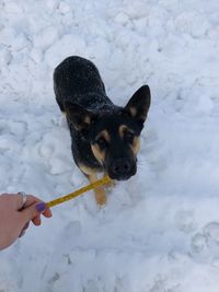 Close-up of hand holding snow during winter