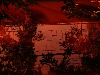 Silhouette trees against sky during autumn