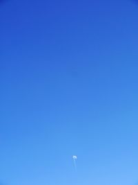 Low angle view of tree against clear blue sky