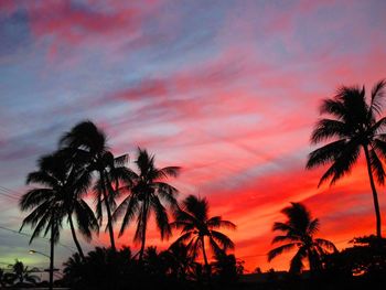 Silhouette of palm trees at sunset