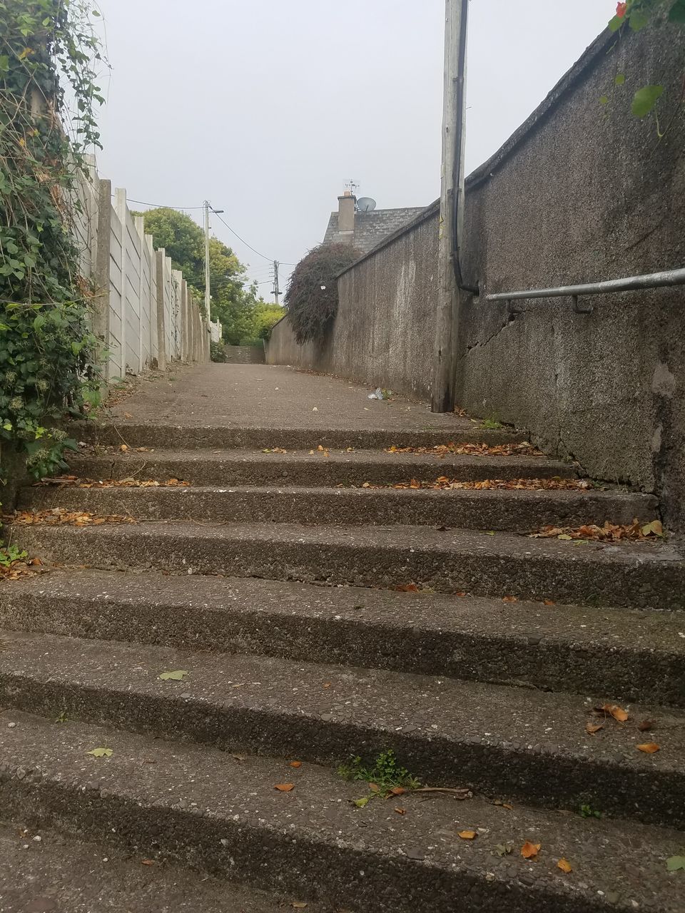 LOW ANGLE VIEW OF STEPS AMIDST BUILDINGS