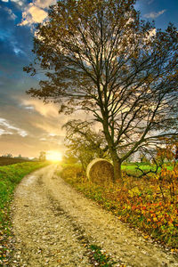 Dirt road amidst trees on field against sky