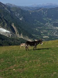 Horse on field against mountains