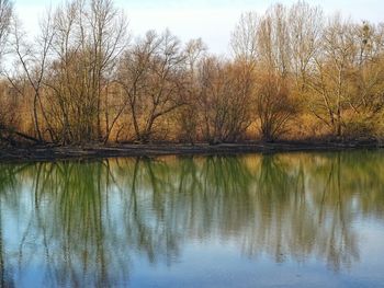 Reflection of bare trees in lake against sky