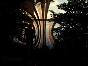 Silhouette trees in illuminated tunnel at night