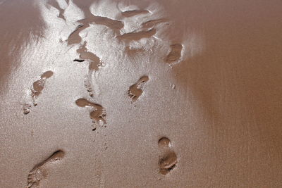 Full frame shot of wet sand at beach