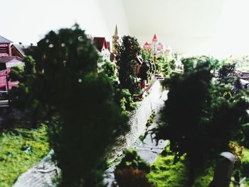 Trees in front of building