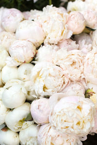 Full frame shot of white flowers for sale in market