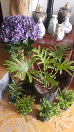 High angle view of vegetables on table