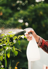 Midsection of man holding plant in water