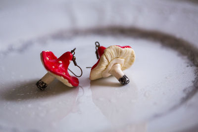 Close-up of red chili peppers in plate