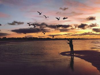 Silhouette woman feeding birds at sea against sky during sunset