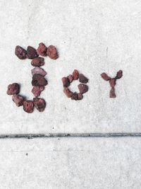 High angle view of leaves on ground