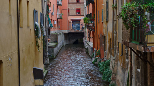 Narrow alley amidst buildings in city