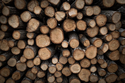 Full frame shot of logs