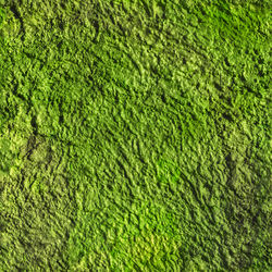 Full frame background and texture of green  decorative plaster on outside wall of the building