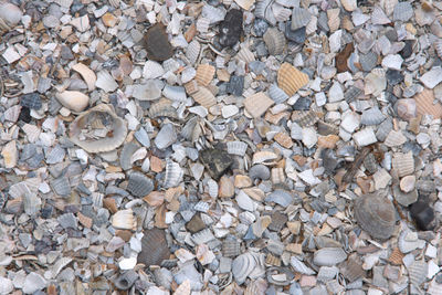 Full frame shot of pebbles