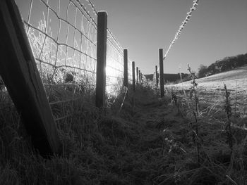 Barbed wire on field against sky