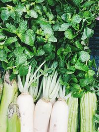 Vegetables for sale at market stall