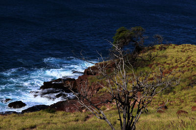 Scenic view of sea