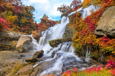 Scenic view of waterfall in forest during autumn