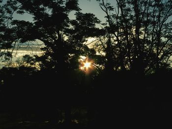 Silhouette trees against sky