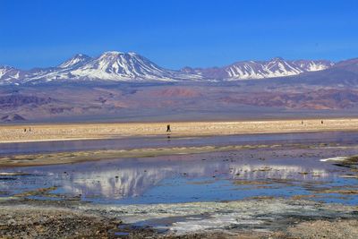 Scenic view of snowcapped mountains against clear blue sky