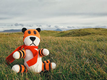 Stuffed animal on field against sky