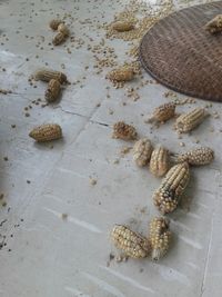 High angle view of bread