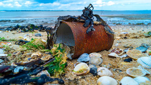 Close up of rusted can weathered on beach sand pollution litter rubbish in the ocean