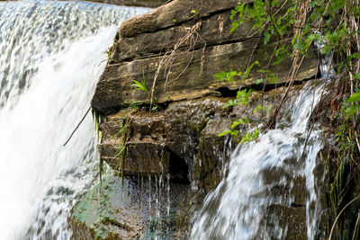 Close-up of waterfall against trees